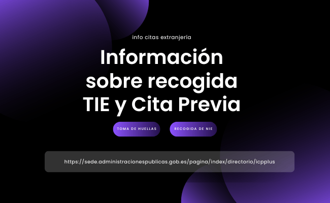 recogida tie y cita previa
